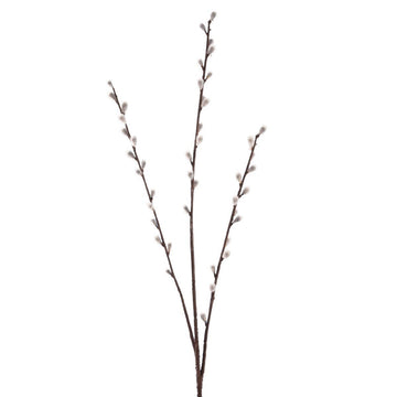 Pussy Willow x 3 45F 84cm - RUTHERFORD & Co