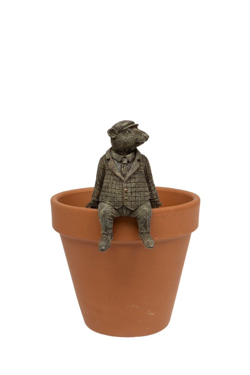 Ratty Pot Sitter - RUTHERFORD & Co