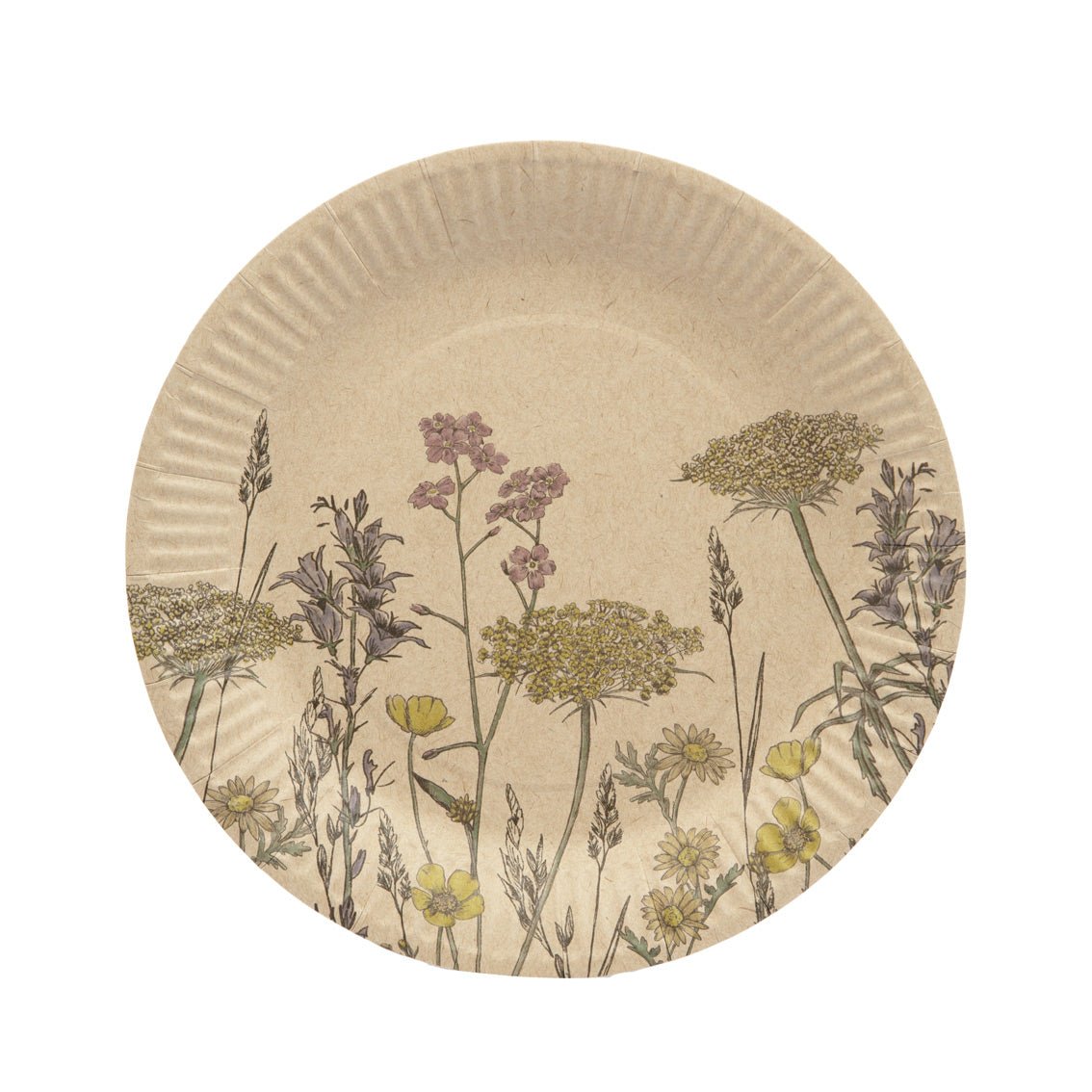 Recycled Paper Wildflower Plates - 12 Pack - RUTHERFORD & Co