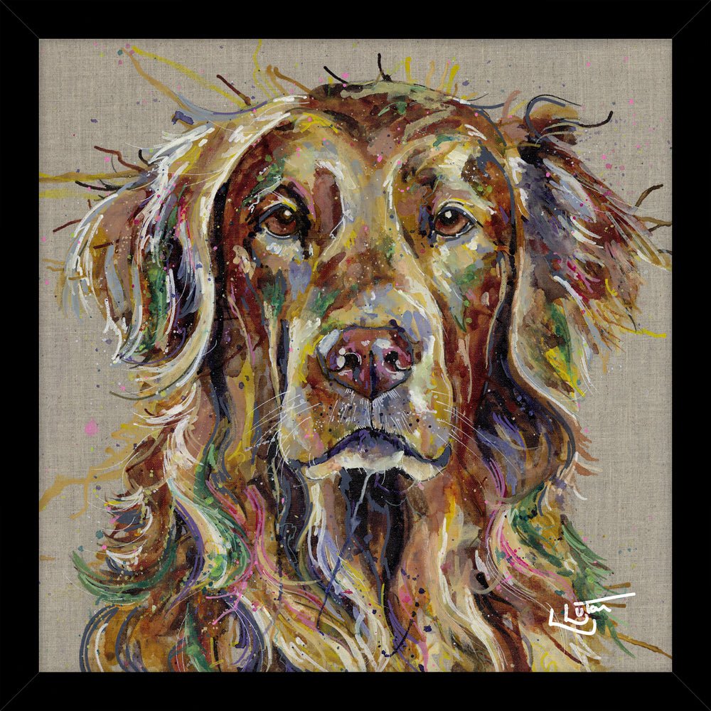 Red Lab HF - A22 - RUTHERFORD & Co