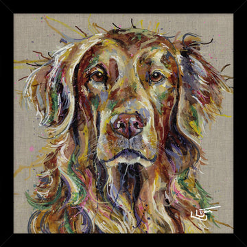 Red Lab HF - A22 - RUTHERFORD & Co