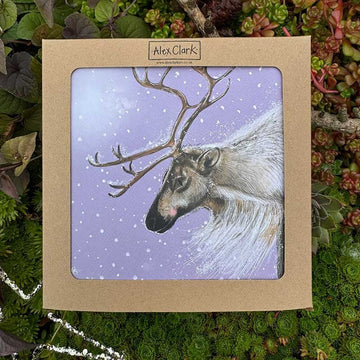 Reindeer Boxed Christmas Cards - RUTHERFORD & Co