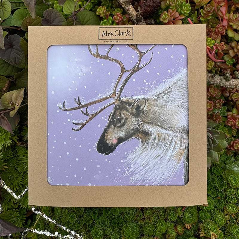 Reindeer Boxed Christmas Cards - RUTHERFORD & Co