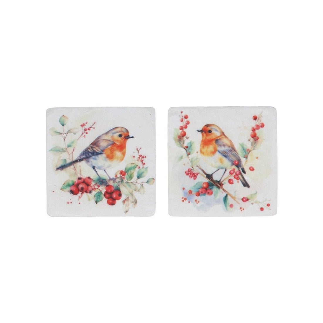 Resin Coaster/Robin w Berries/Astd - RUTHERFORD & Co