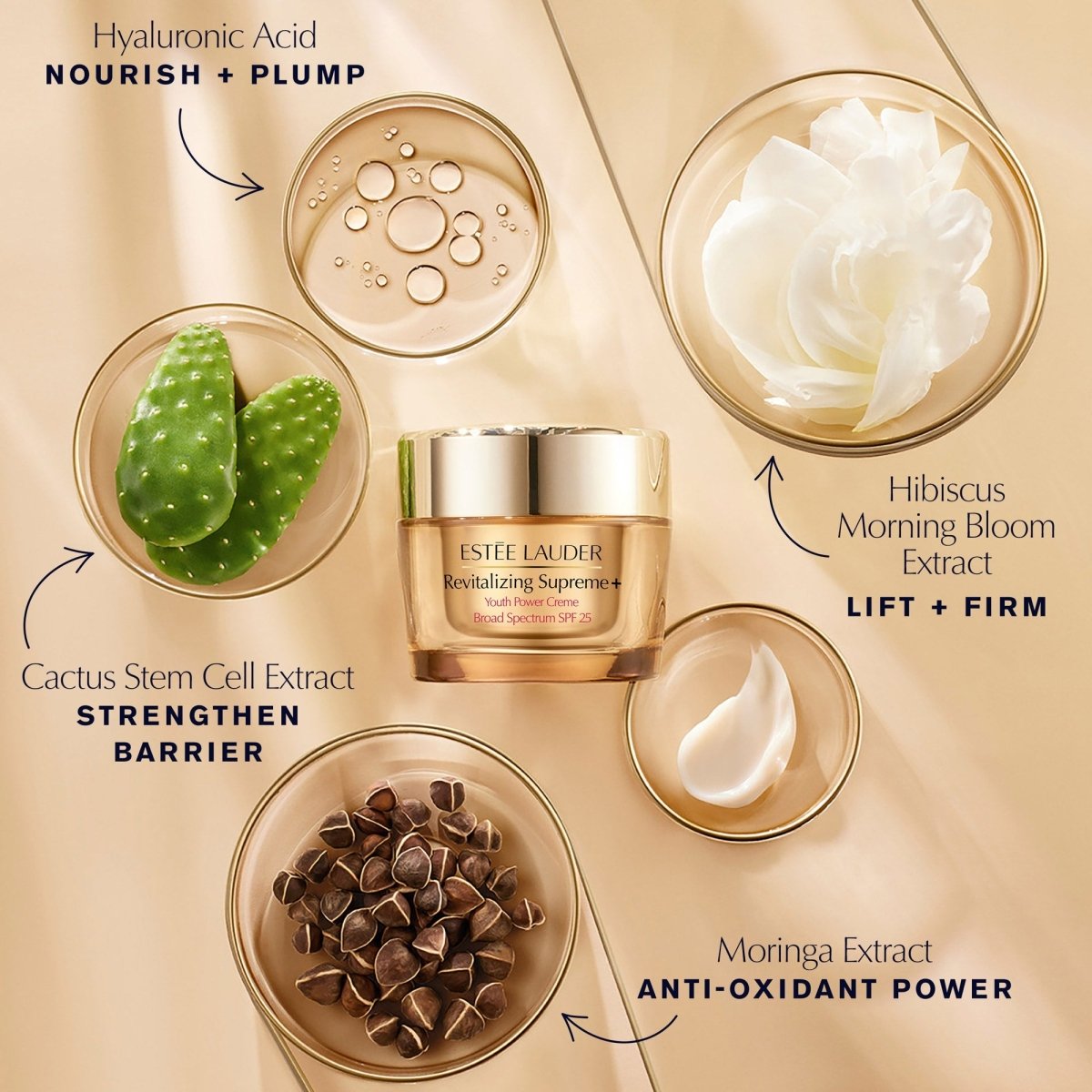 Revitalizing Supreme+ Youth Power Creme SPF 25 - RUTHERFORD & Co