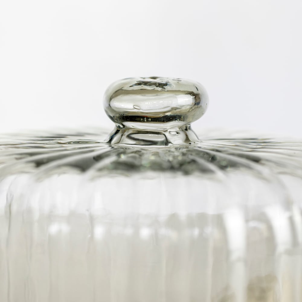 Ribbed Cloche With Wooden Base Large - RUTHERFORD & Co
