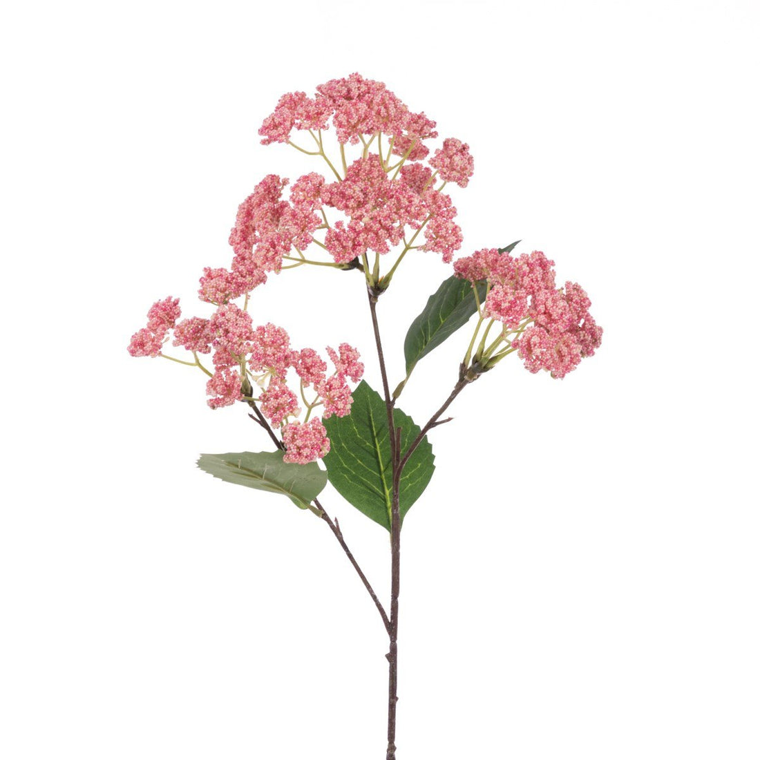 Rice Flower Spray 70cm/Pink - RUTHERFORD & Co