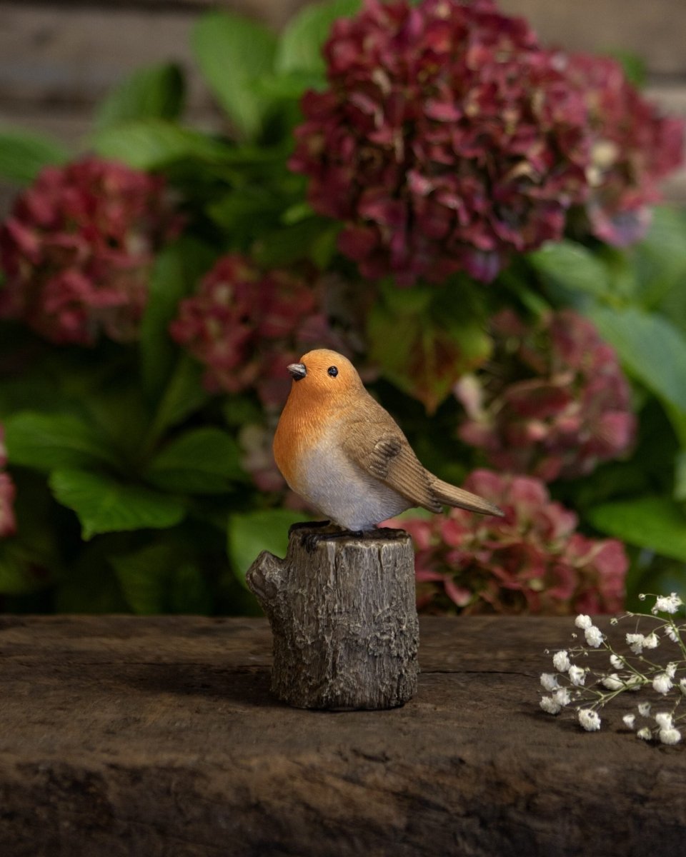 Robin On Tree - RUTHERFORD & Co