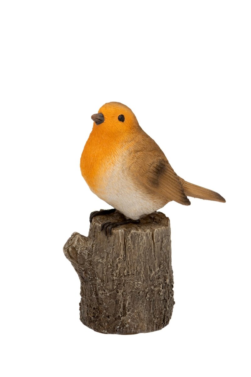 Robin On Tree - RUTHERFORD & Co