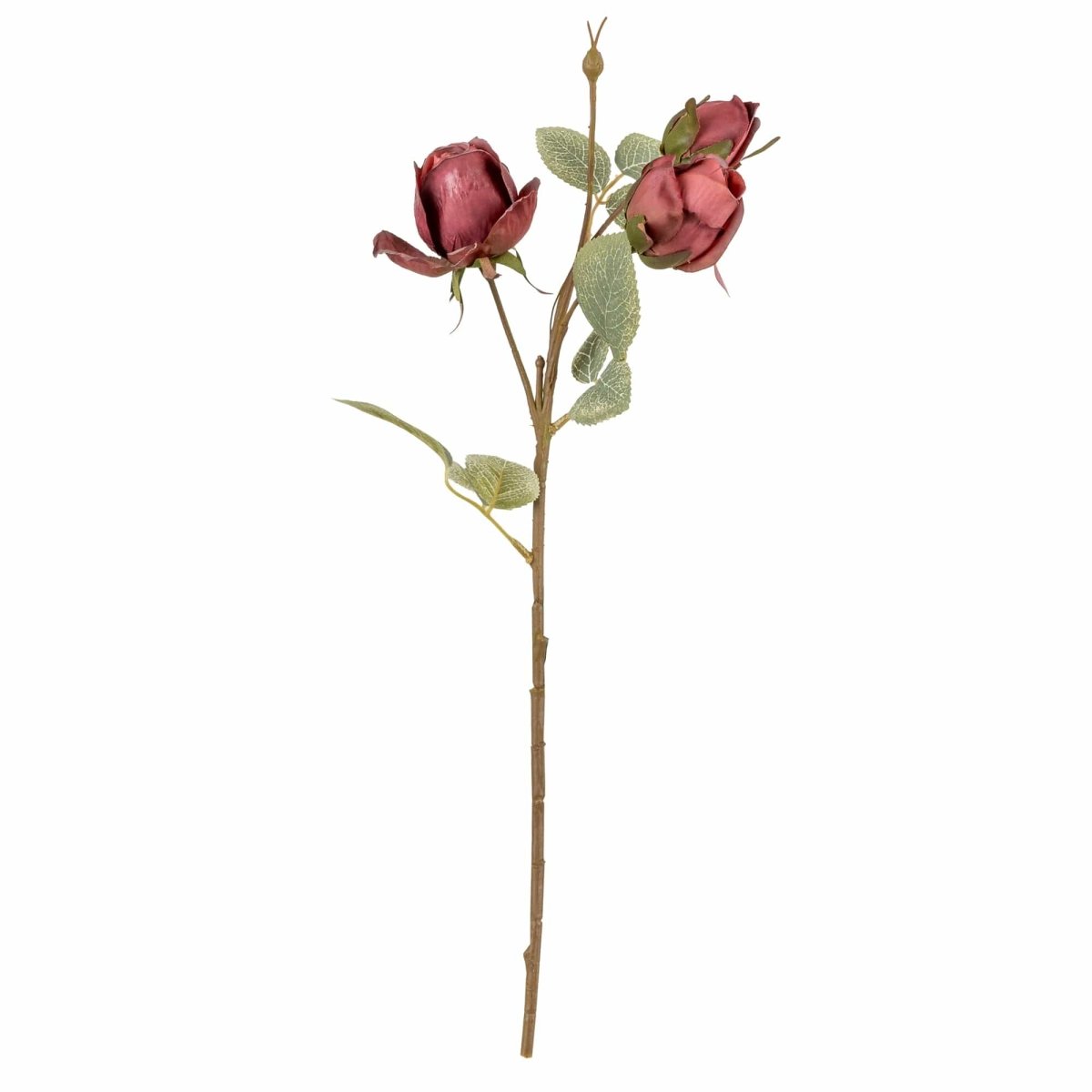 Rose Stem 38cm - Red - RUTHERFORD & Co