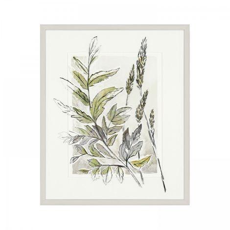 Royal Fern - RUTHERFORD & Co
