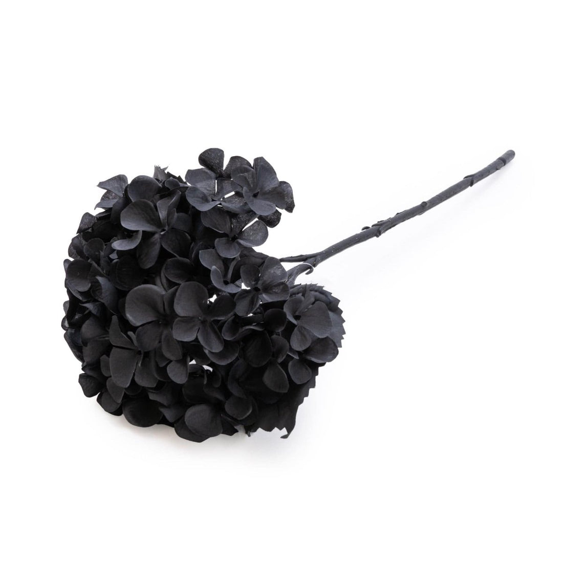 Single Hydrangea Faux Stem 46cm - Black - RUTHERFORD & Co