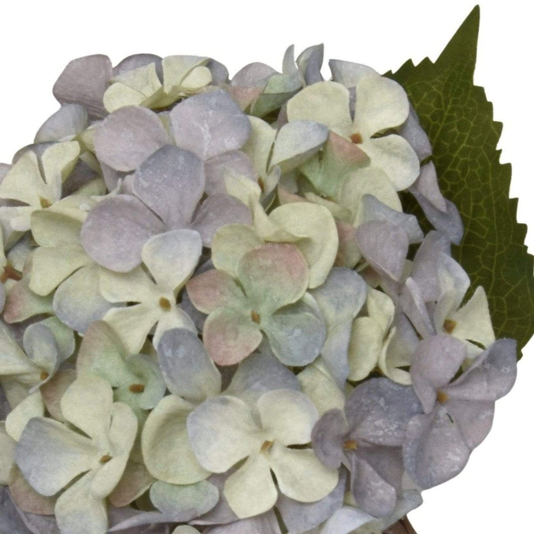 Single Hydrangea Faux Stem 46cm - Blue & Green - RUTHERFORD & Co