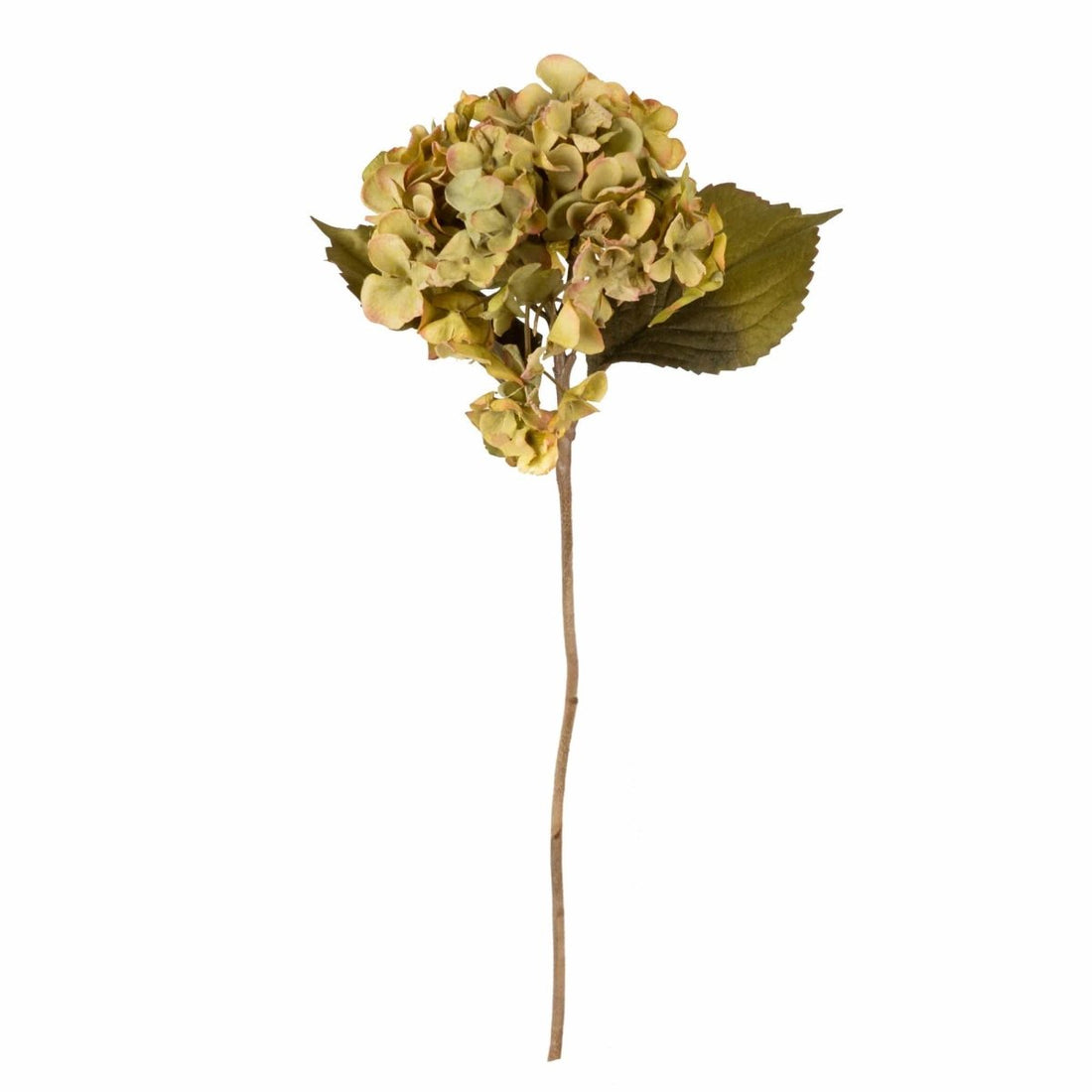 Single Hydrangea Faux Stem 46cm - Olive - RUTHERFORD & Co