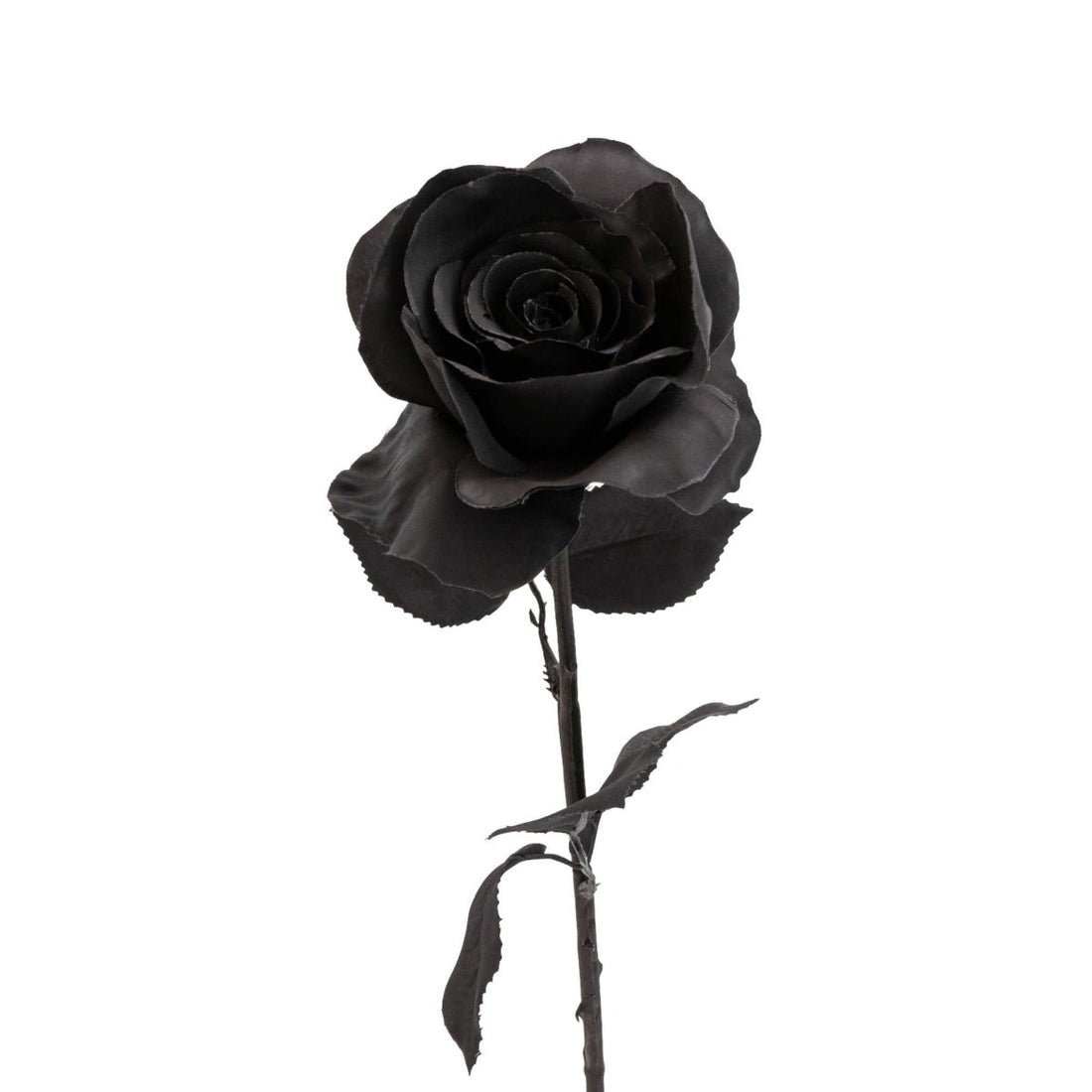 Single Stem Rose 54cm - Black - RUTHERFORD & Co