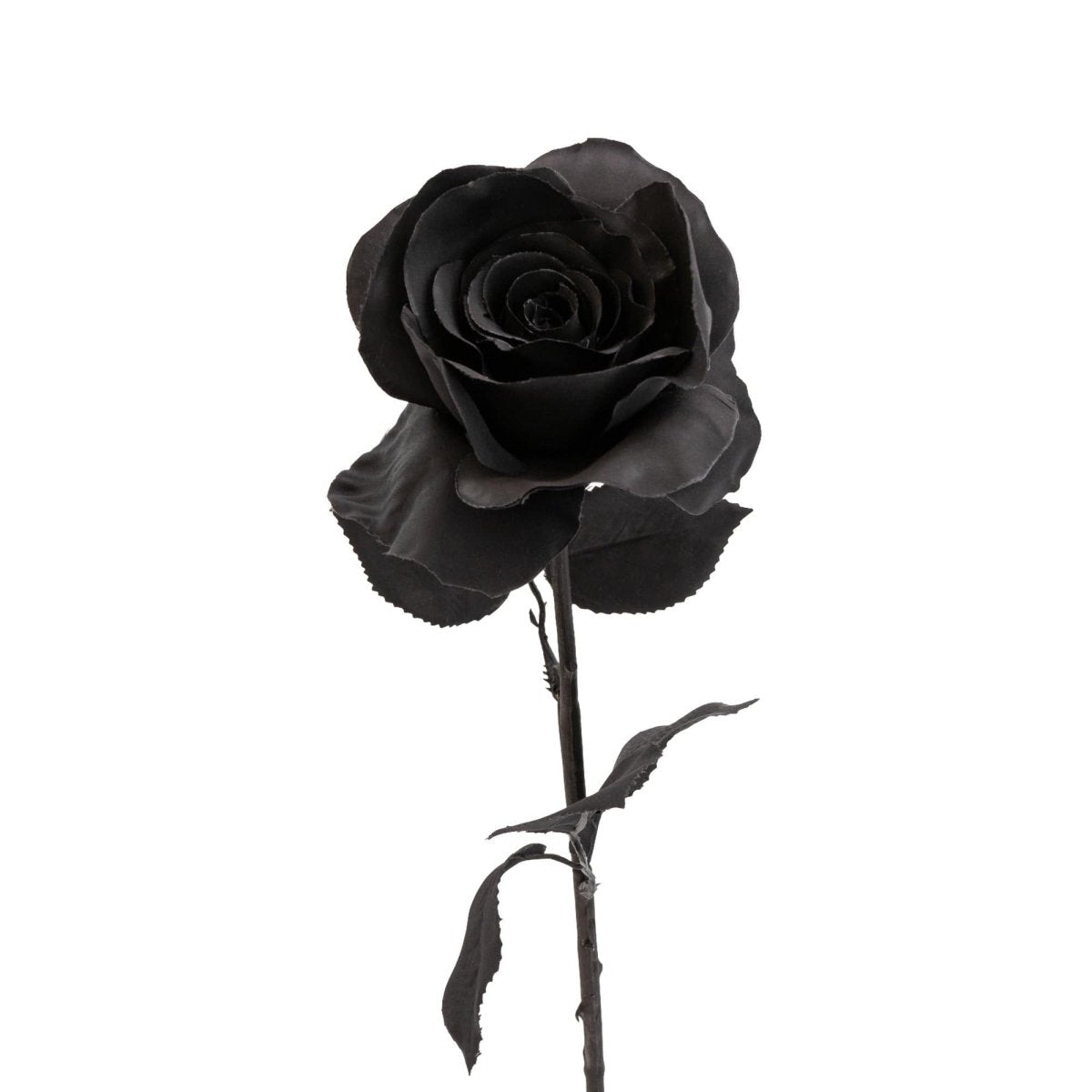 Single Stem Rose 54cm - Black - RUTHERFORD & Co
