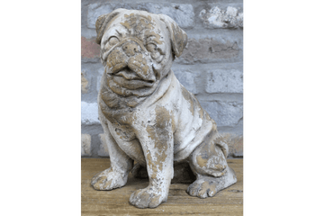 Sitting Dog - Frenchie - RUTHERFORD & Co