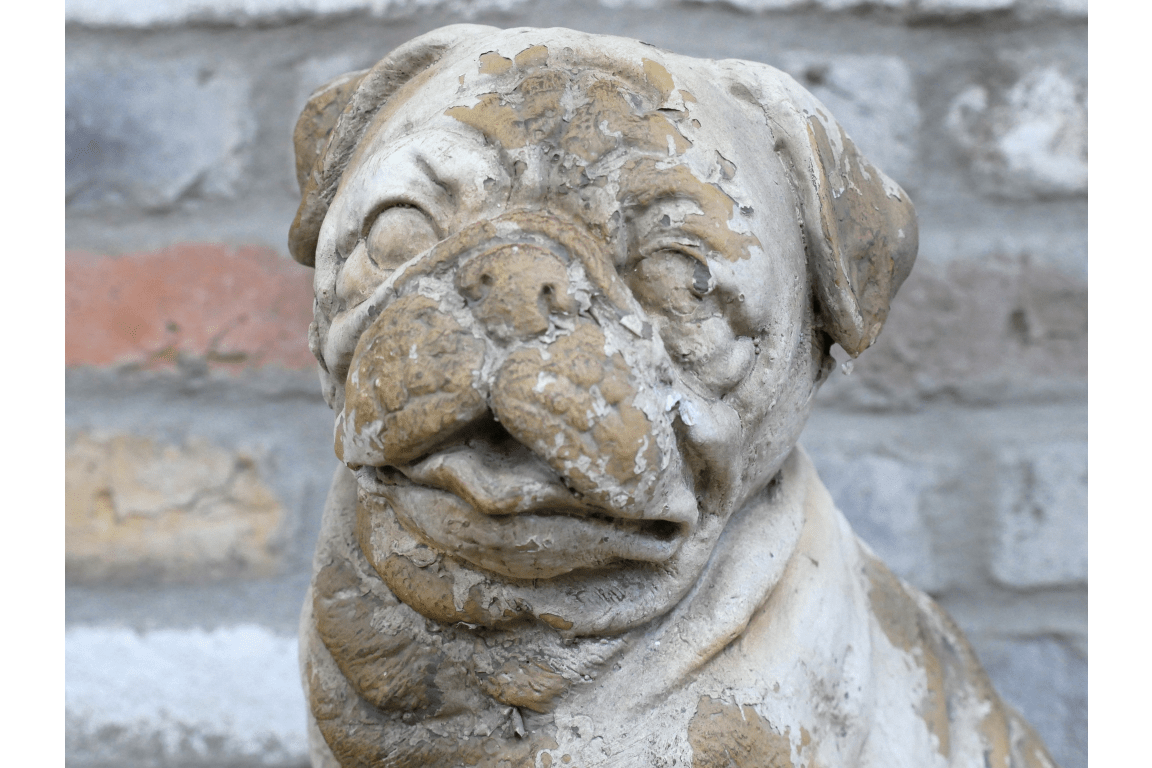 Sitting Dog - Frenchie - RUTHERFORD & Co