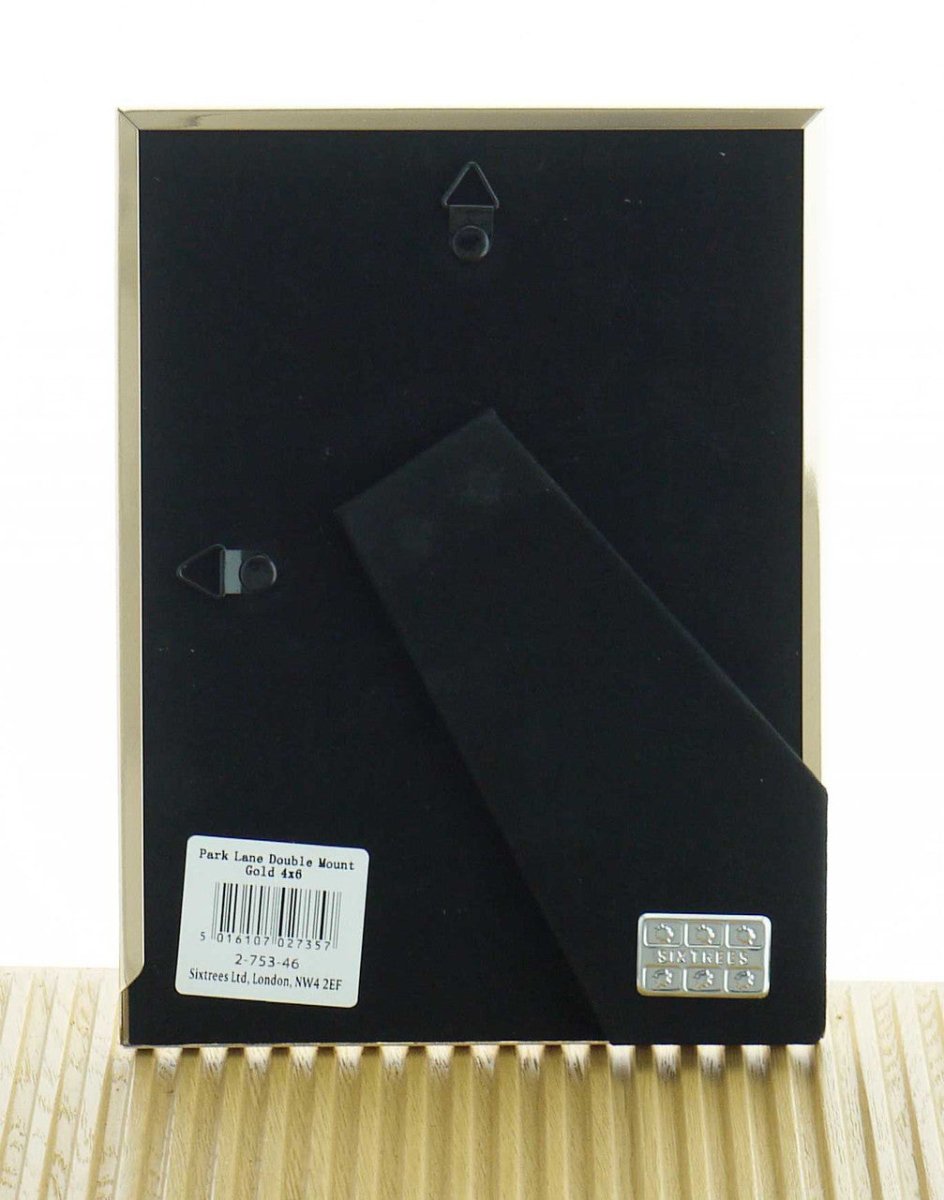 Sixtrees Park Lane Gold 6 x 4 inch Photoframe - RUTHERFORD & Co
