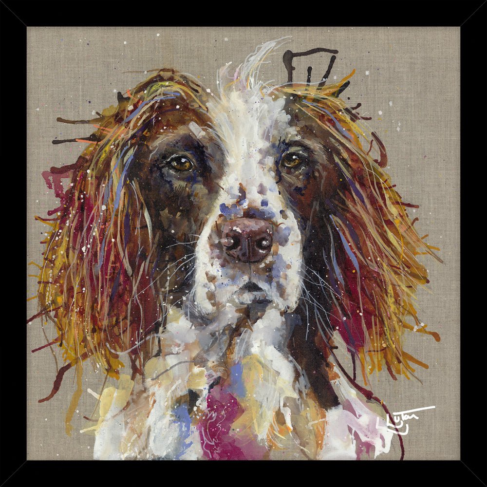 Spaniel HF - A22 - RUTHERFORD & Co
