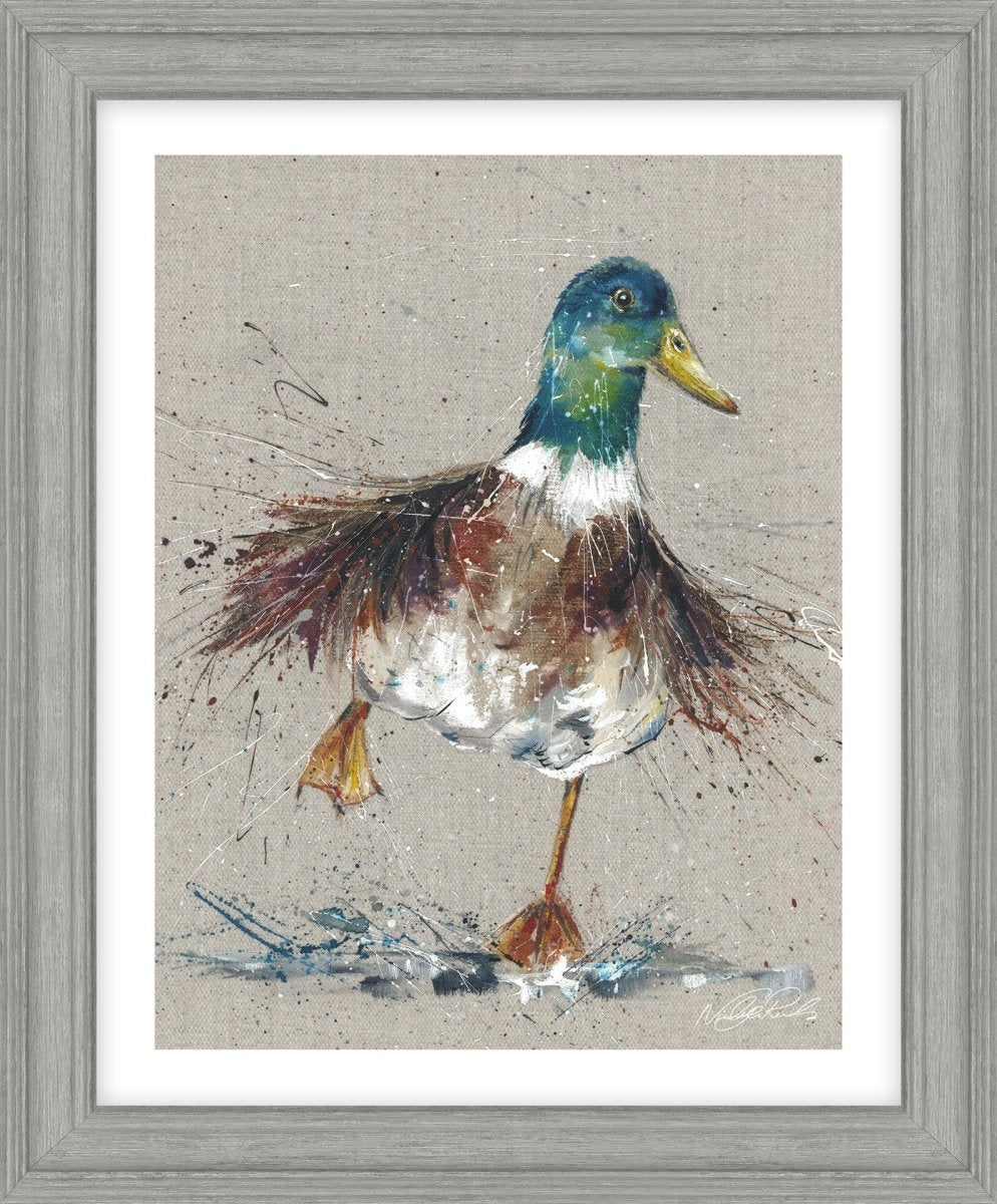 Splish Splash HF - CR116 - RUTHERFORD & Co