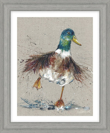 Splish Splash HF - CR116 - RUTHERFORD & Co
