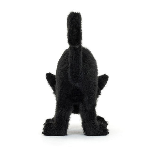 Spookipaws Cat - RUTHERFORD & Co