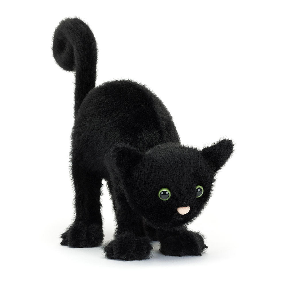 Spookipaws Cat - RUTHERFORD & Co