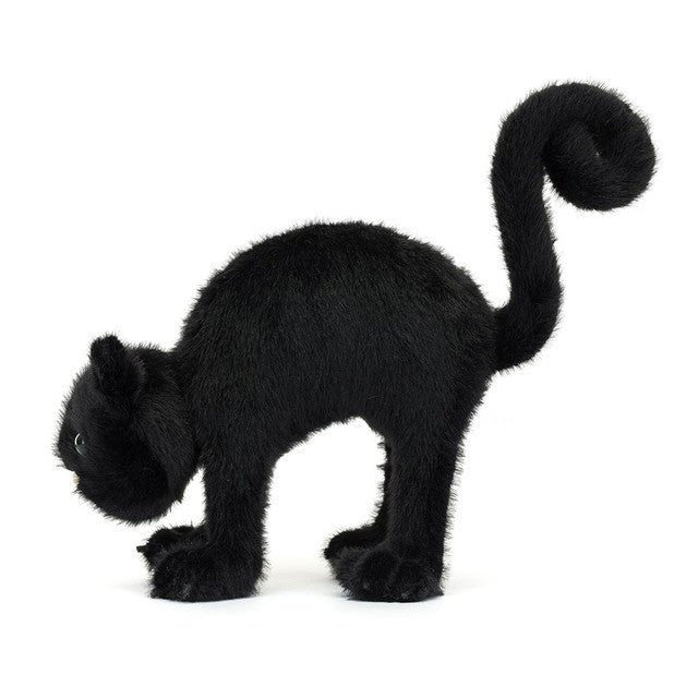 Spookipaws Cat - RUTHERFORD & Co