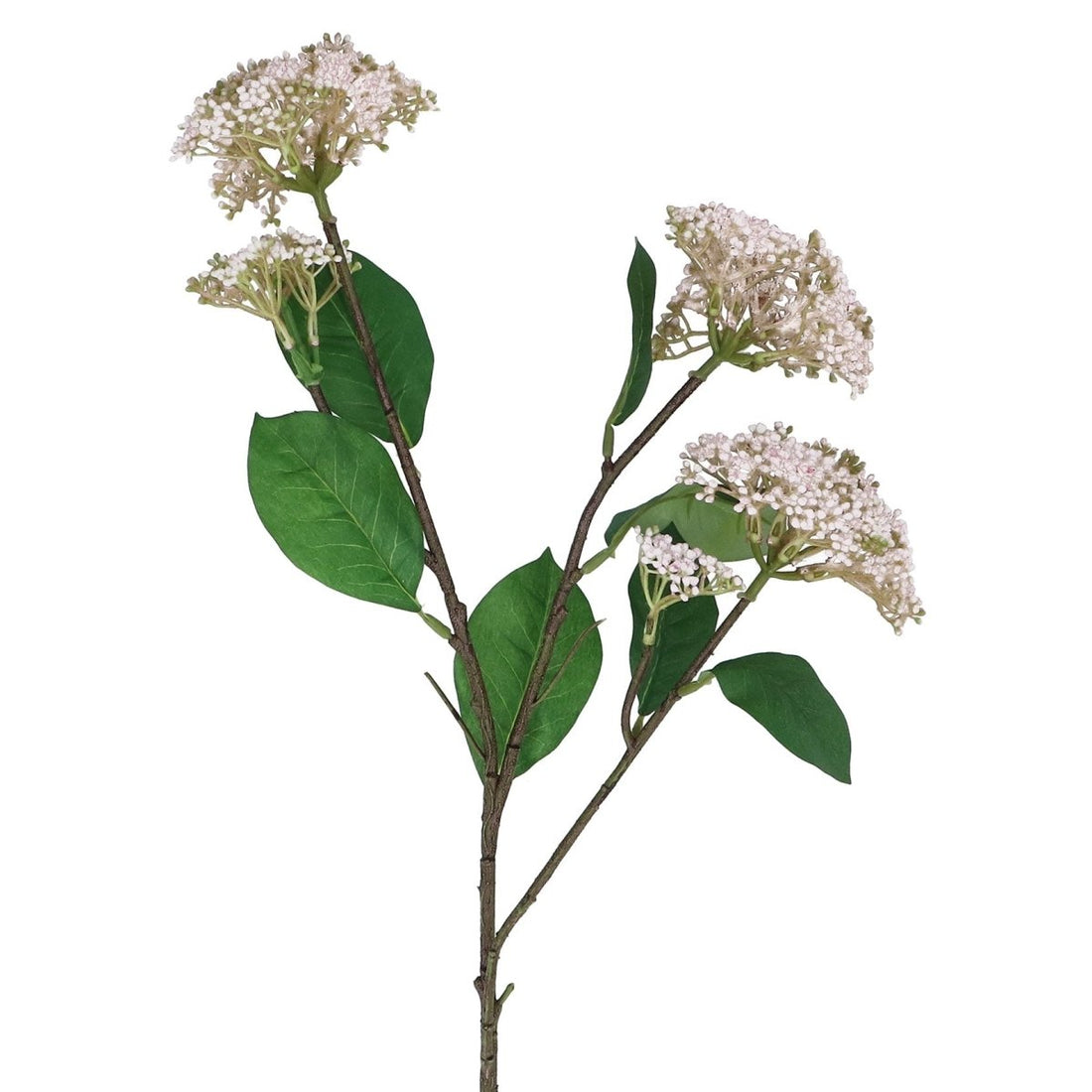 Spray 67cm - White Elderflower - RUTHERFORD & Co