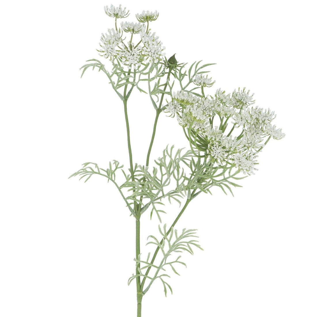 Spray 74cm - Cowslip - RUTHERFORD & Co