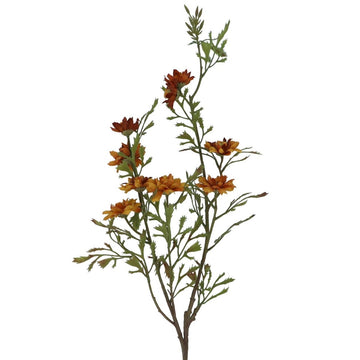 Spray 86cm – Antique Yellow/Brown Wild Aster - RUTHERFORD & Co