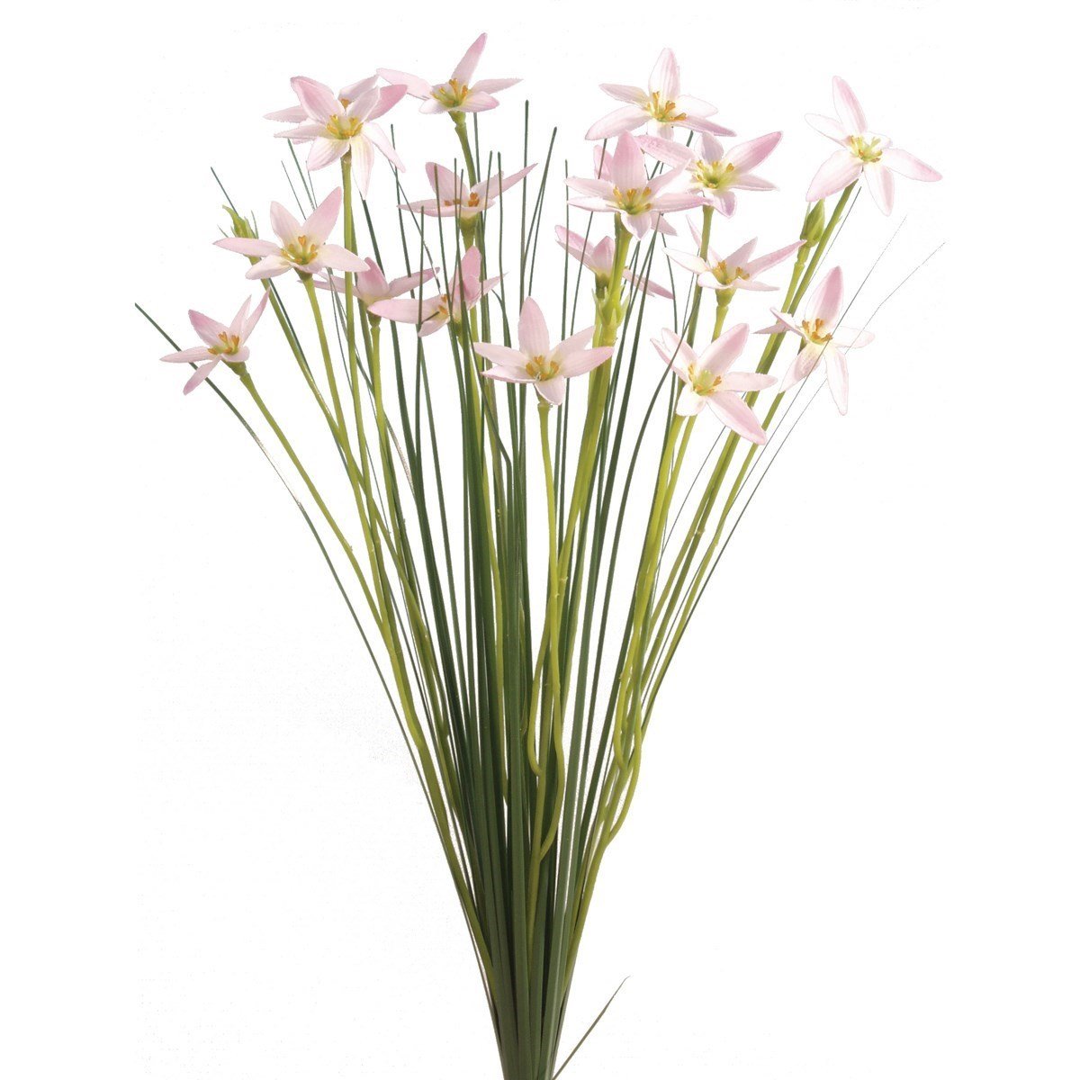 Star Flower w/Grass L/Pink - 45cm - RUTHERFORD & Co