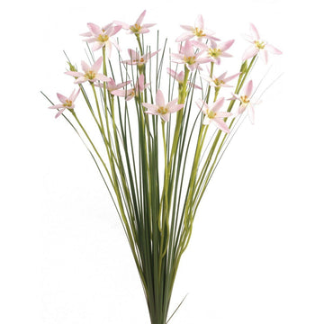 Star Flower w/Grass L/Pink - 45cm - RUTHERFORD & Co