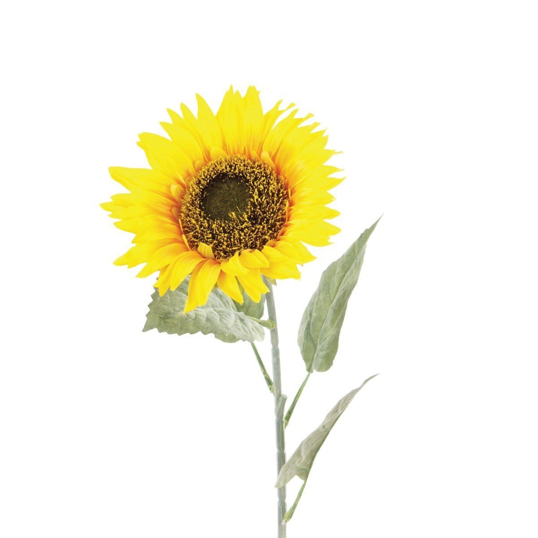 Sunflower 71cm/Yellow - RUTHERFORD & Co