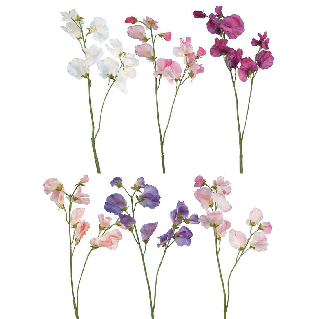 Sweet Pea Spray 40cm/Astd - RUTHERFORD & Co