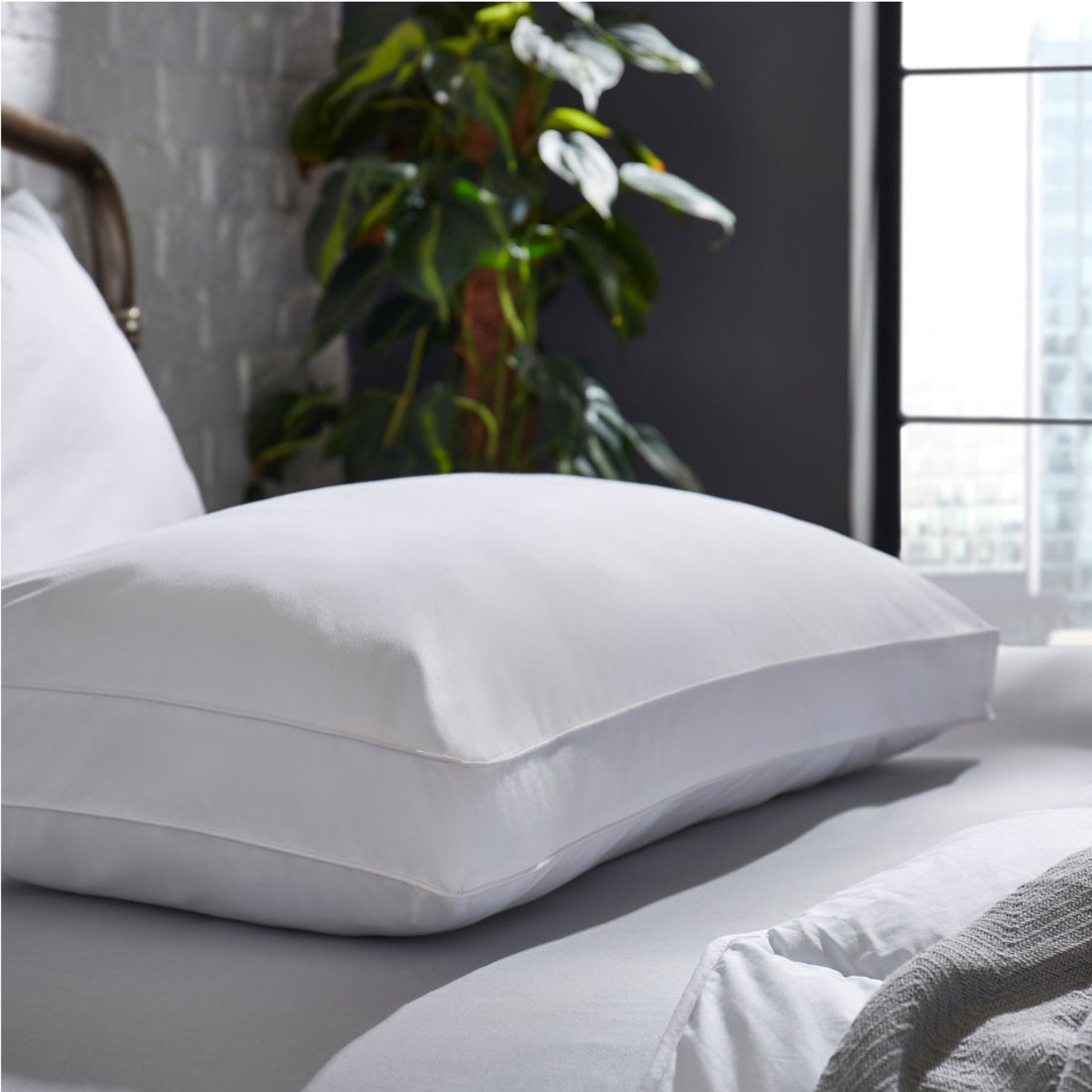 The Back Sleeper Pillow - RUTHERFORD & Co