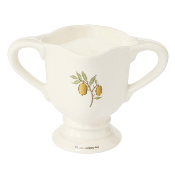 The Modern Homemaker Indoor & Outdoor Scented Candle, 280g - RUTHERFORD & Co