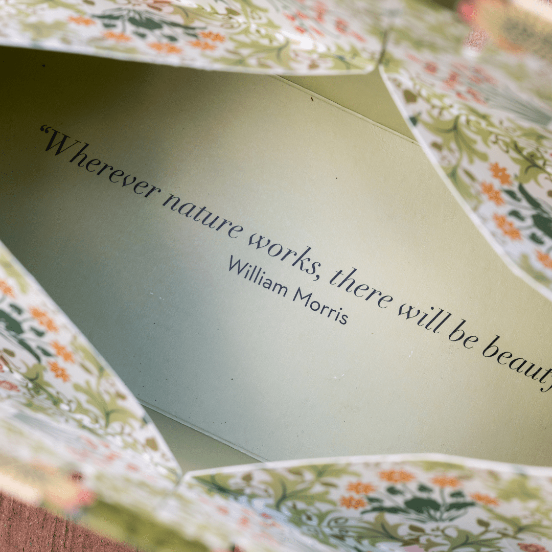 The Voyager Travel Edit - RUTHERFORD & Co