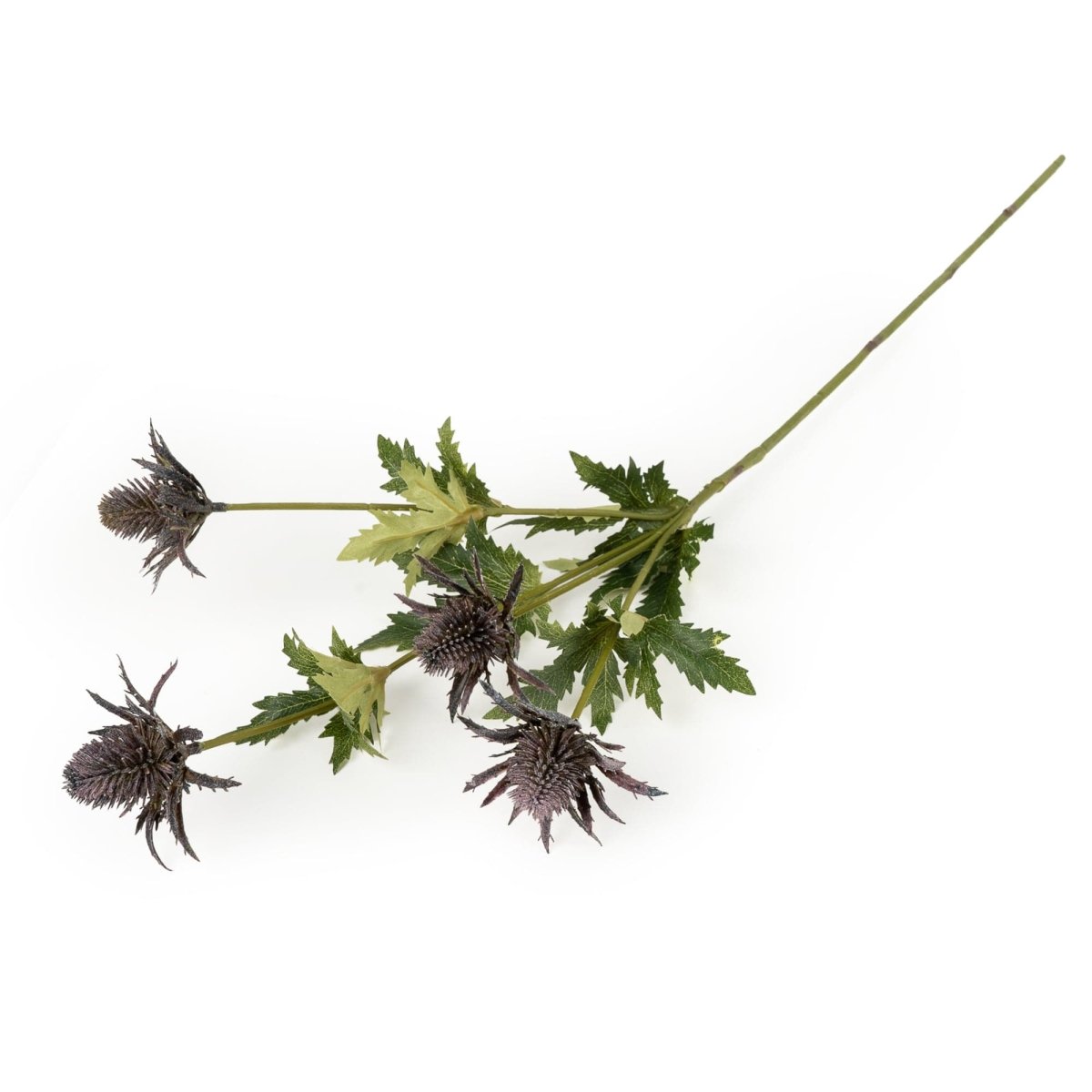 Thistle Stem 72cm - Purple - RUTHERFORD & Co