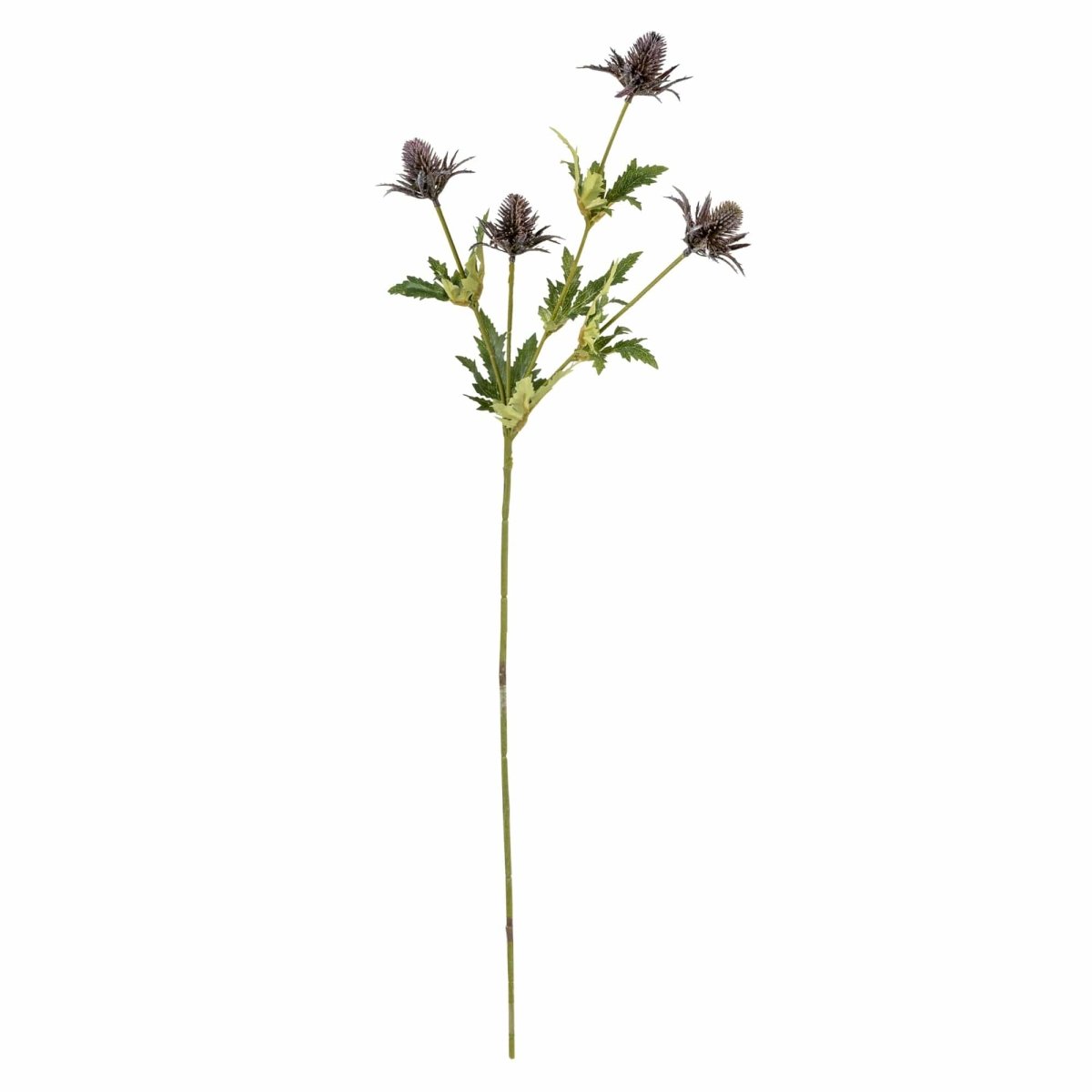 Thistle Stem 72cm - Purple - RUTHERFORD & Co