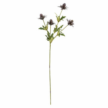Thistle Stem 72cm - Purple - RUTHERFORD & Co