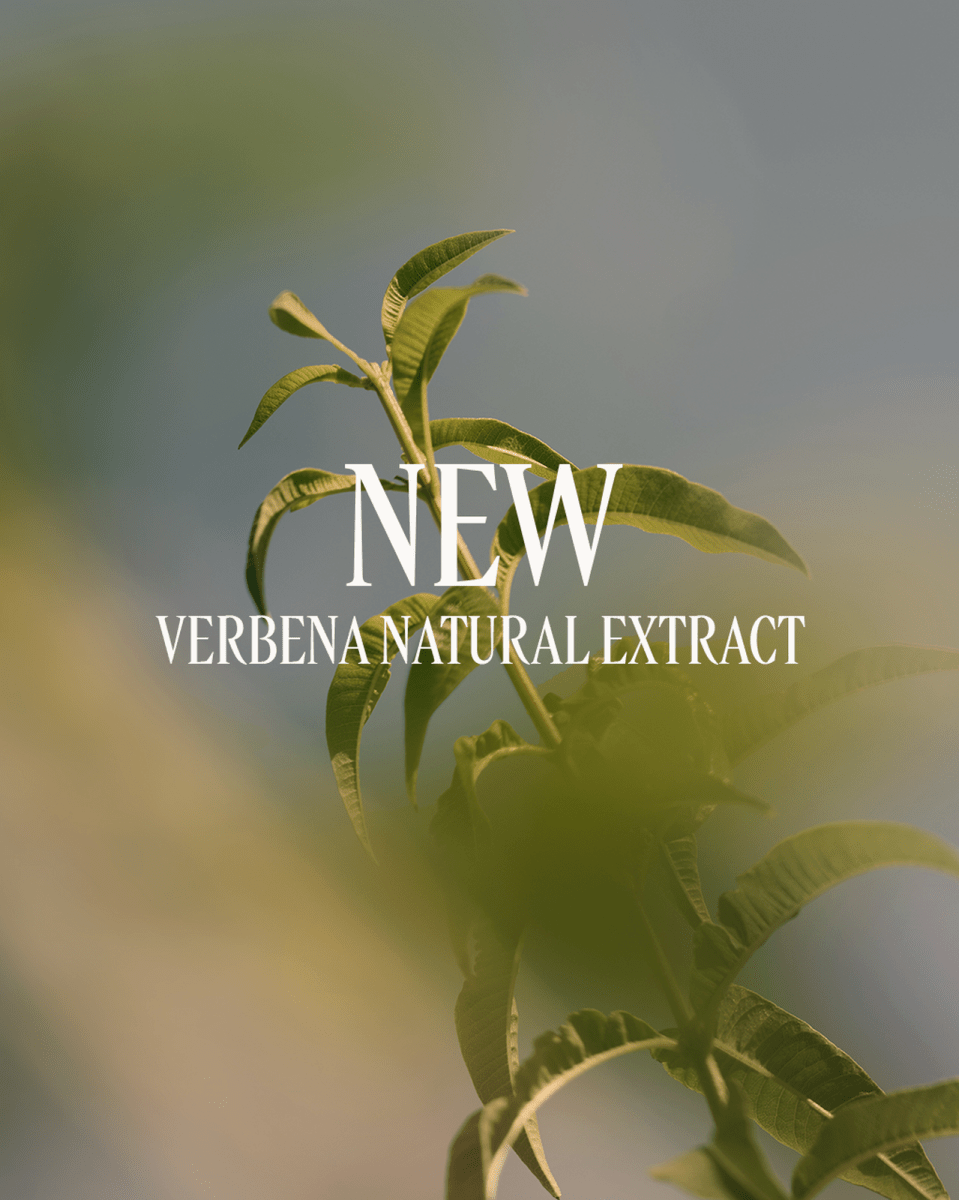 Verveine Body Lotion 250 ml - RUTHERFORD & Co