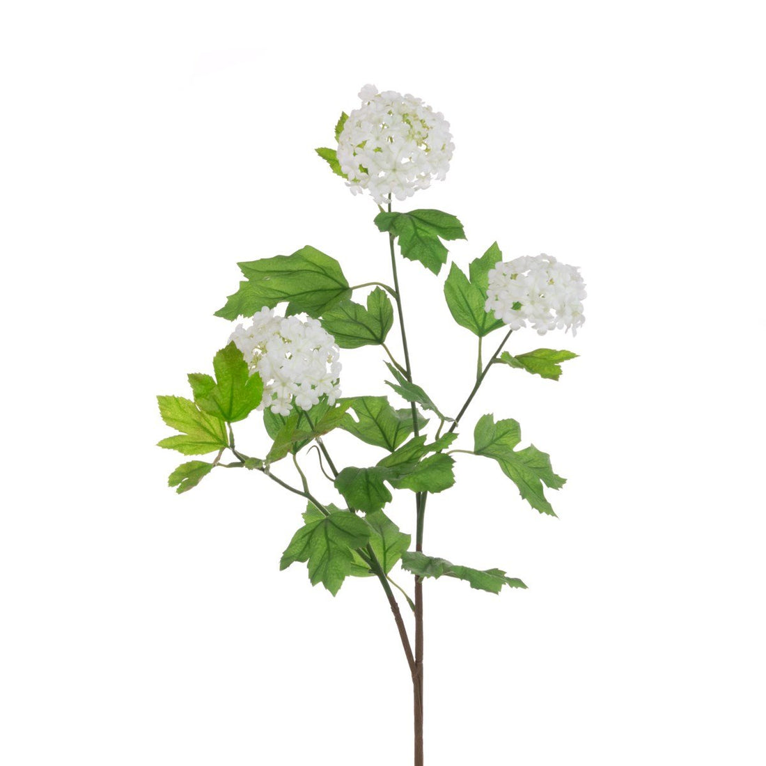 Viburnum Spray 89cm/White - RUTHERFORD & Co