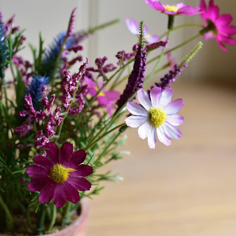 Wildflowers in Pot Pink - RUTHERFORD & Co