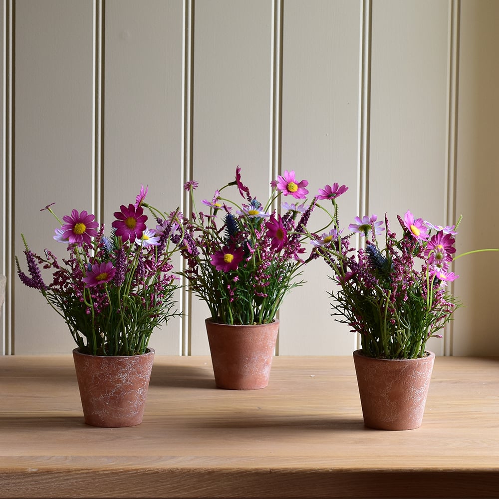 Wildflowers in Pot Pink - RUTHERFORD & Co
