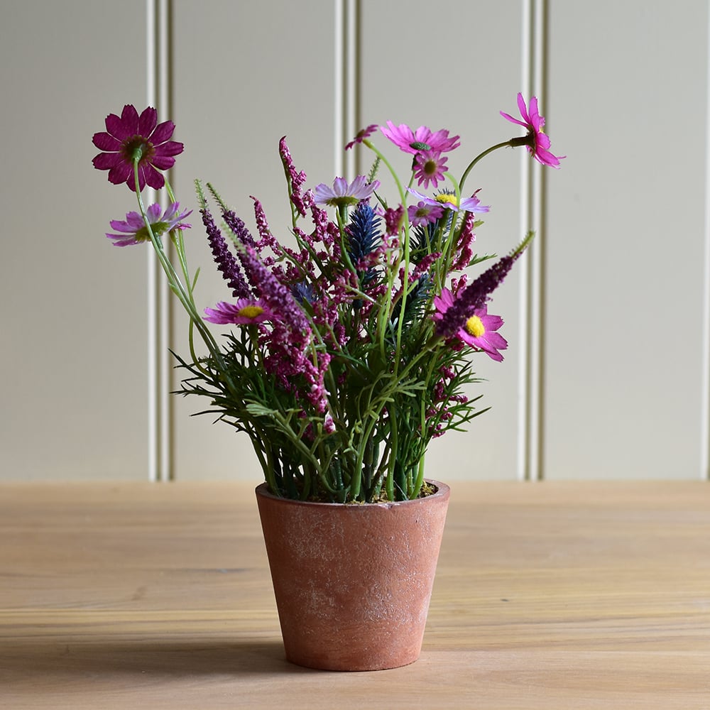 Wildflowers in Pot Pink - RUTHERFORD & Co