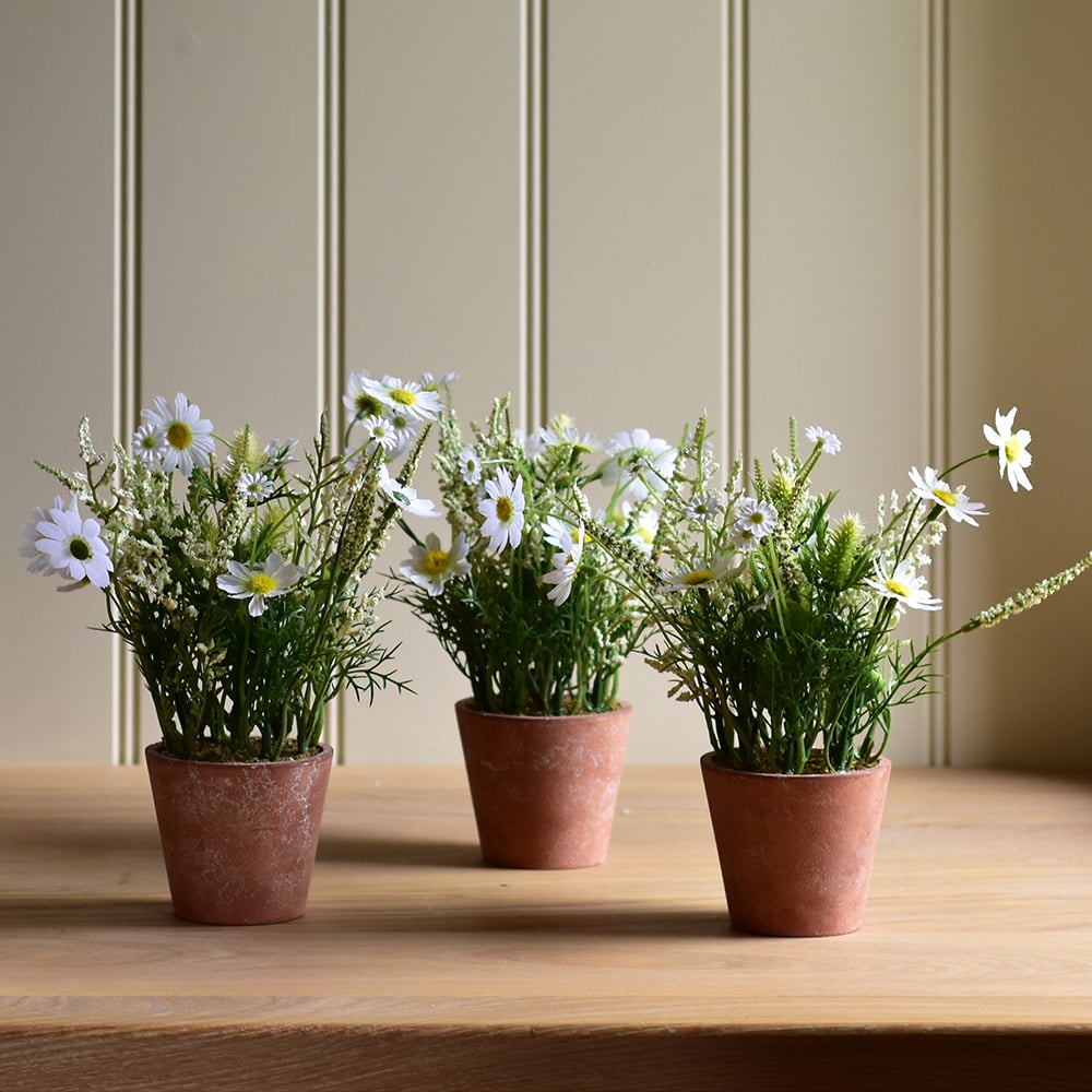 Wildflowers in Pot White - RUTHERFORD & Co