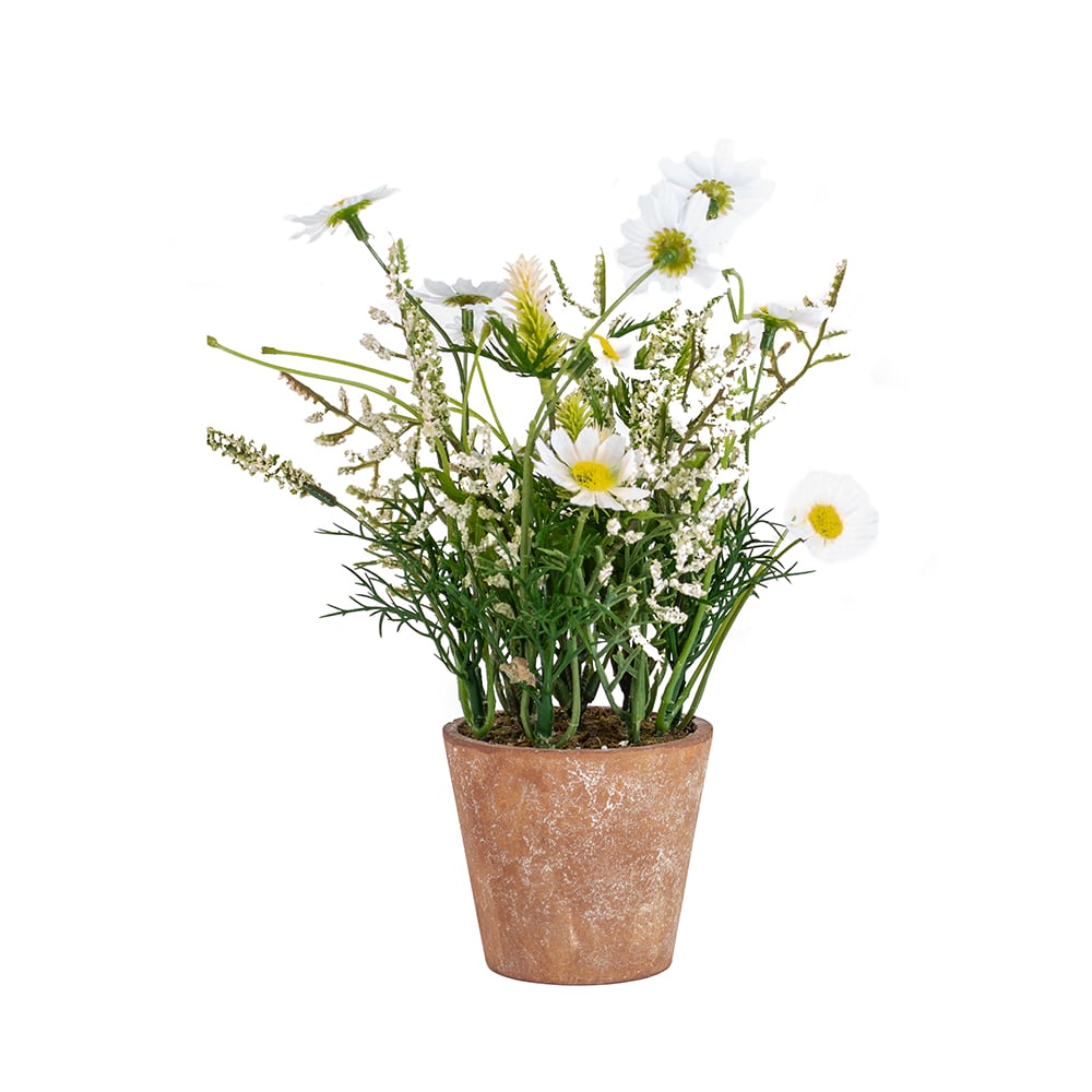 Wildflowers in Pot White - RUTHERFORD & Co
