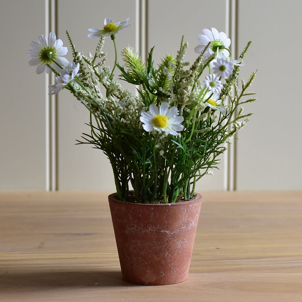 Wildflowers in Pot White - RUTHERFORD & Co